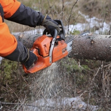 Worker cutting a log with a chainsaw